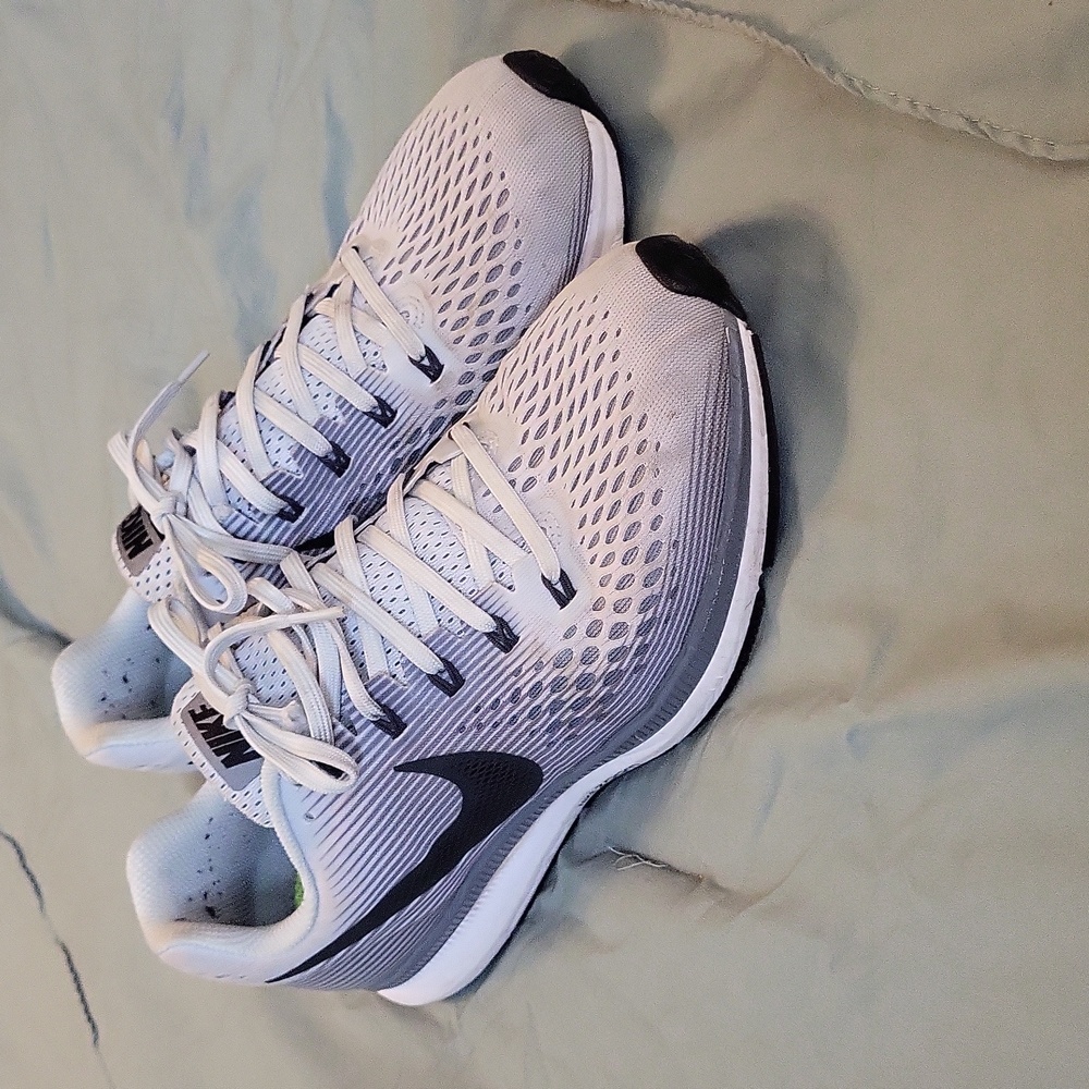 Nike zoom pegasus 34